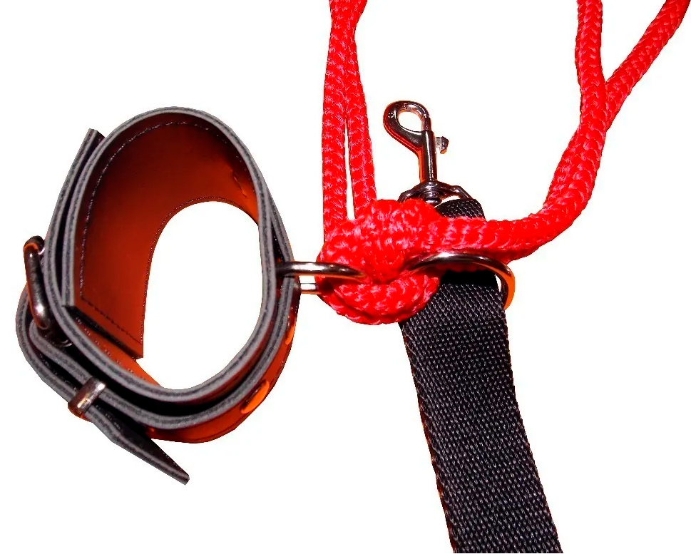 Kit Bondage Fetish Arnés Premium de Cuero Vegano y cinta con pasadores para cama - Image 3